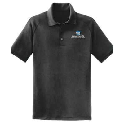 Sport Tek Dry Zone Raglan Polo Thumbnail